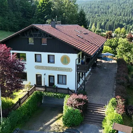 Bayerwald Hotel 3*