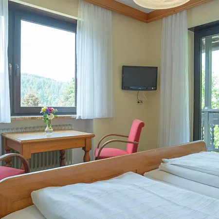Bayerwald Hotel Grafling