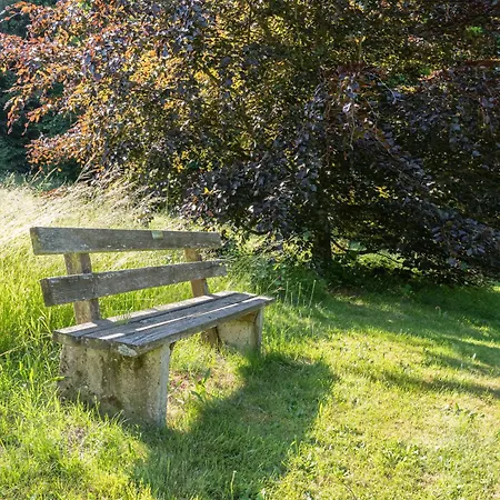 Bayerwald