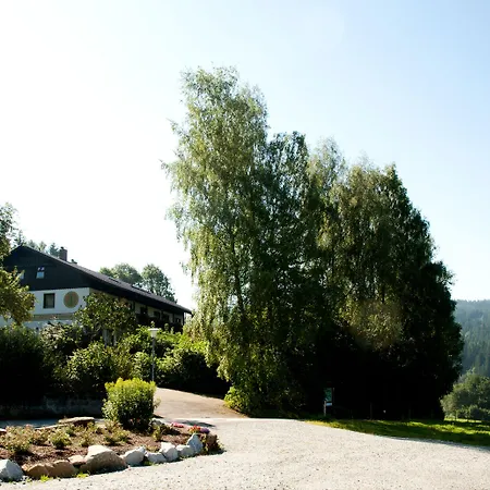 Bayerwald فندق 3*