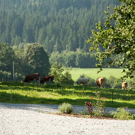 Bayerwald