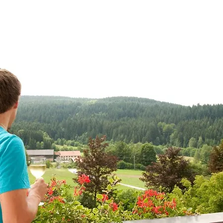 Bayerwald فندق Grafling