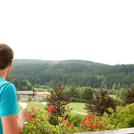 Bayerwald Hotel 3*