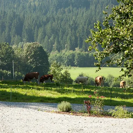 Bayerwald Grafling
