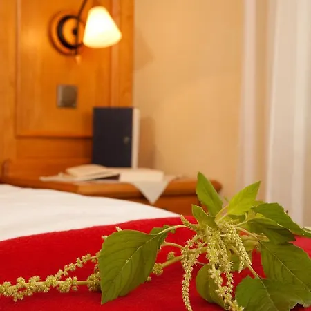 Hotel Bayerwald 3*