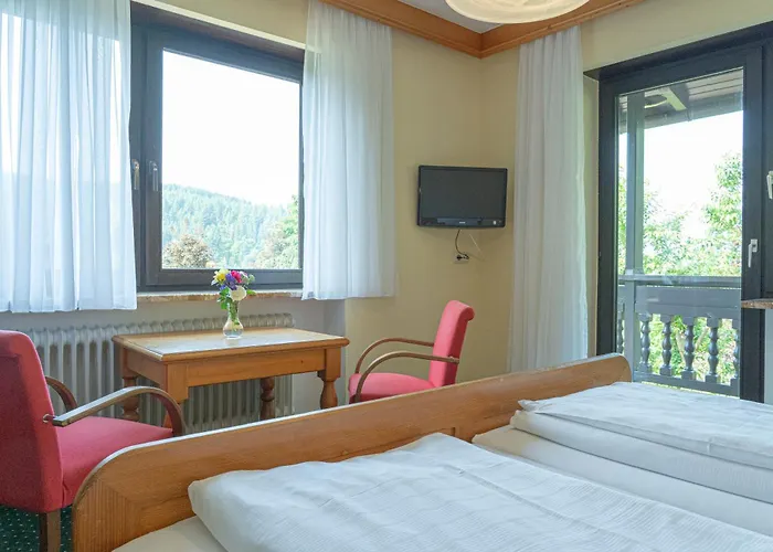 Bayerwald Hotel Grafling