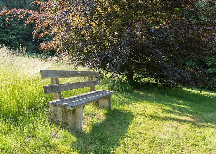 Bayerwald