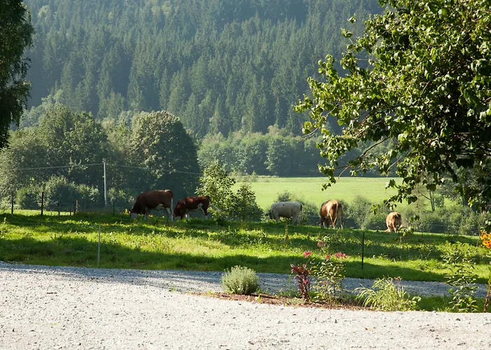 Bayerwald