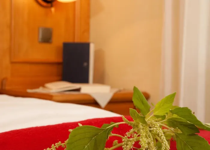 Bayerwald Hotel Grafling