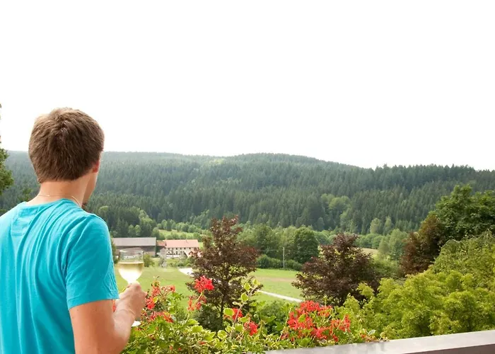 Bayerwald Hotel Grafling